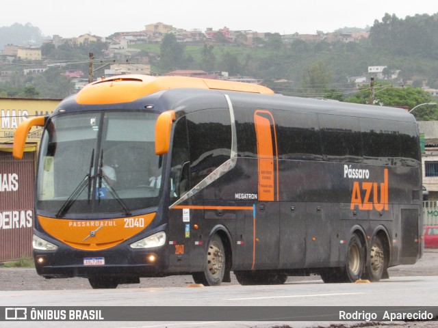 Pássaro Azul 2040 na cidade de Conselheiro Lafaiete, Minas Gerais, Brasil, por Rodrigo  Aparecido. Número da foto: #8483309.
