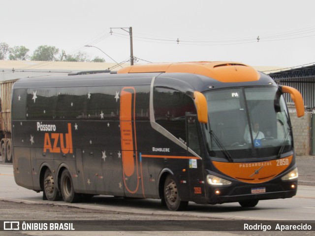 Pássaro Azul 2050 na cidade de Conselheiro Lafaiete, Minas Gerais, Brasil, por Rodrigo  Aparecido. Número da foto: #8483273.
