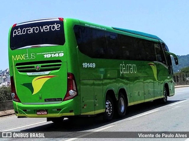 Pássaro Verde 19149 na cidade de Itaúna, Minas Gerais, Brasil, por Vicente de Paulo Alves. ID da foto: 8483677.