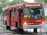 Viação Santa Edwiges 69199 na cidade de Belo Horizonte, Minas Gerais, Brasil, por Adão Raimundo Marcelino. Número da foto: #8484827.