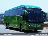 Pássaro Verde 19149 na cidade de Itaúna, Minas Gerais, Brasil, por Vicente de Paulo Alves. Número da foto: #8483669.