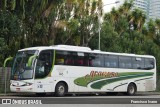 Viação Graciosa 146 na cidade de Curitiba, Paraná, Brasil, por Francisco Ivano. Número da foto: #8484047.