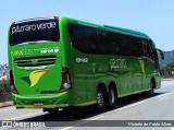 Pássaro Verde 19149 na cidade de Itaúna, Minas Gerais, Brasil, por Vicente de Paulo Alves. Número da foto: #8483677.