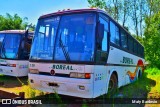 Boreal 129 na cidade de Rivera, Uruguai, por Maty Bardesio. Número da foto: #:id.