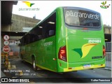 Pássaro Verde 20181 na cidade de Belo Horizonte, Minas Gerais, Brasil, por Valter Francisco. Número da foto: #:id.