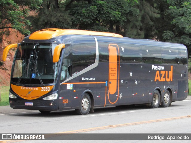 Pássaro Azul 2050 na cidade de Conselheiro Lafaiete, Minas Gerais, Brasil, por Rodrigo  Aparecido. Número da foto: #8492829.