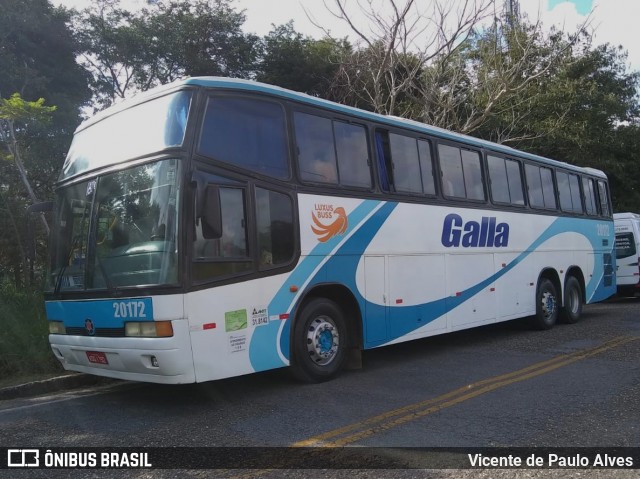 Galla Turismo 20172 na cidade de Belo Horizonte, Minas Gerais, Brasil, por Vicente de Paulo Alves. ID da foto: 8495539.