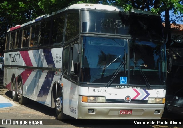 Hibisco Turismo 300 na cidade de Matozinhos, Minas Gerais, Brasil, por Vicente de Paulo Alves. Número da foto: #8498950.