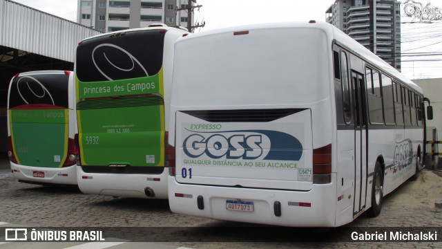Expresso Goss 01 na cidade de Ponta Grossa, Paraná, Brasil, por Gabriel Michalski. Número da foto: #8501750.