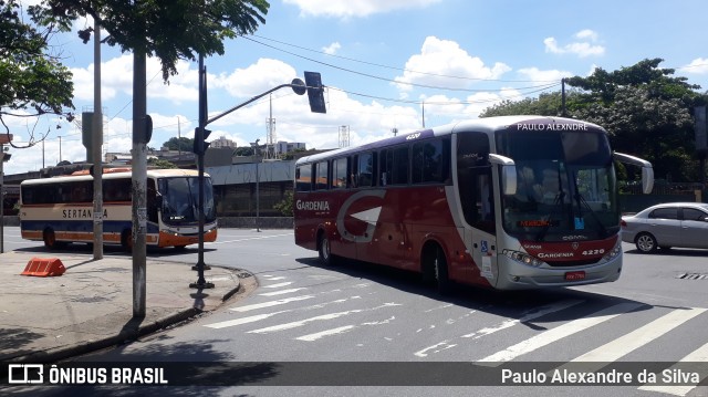 Expresso Gardenia 4220 na cidade de Belo Horizonte, Minas Gerais, Brasil, por Paulo Alexandre da Silva. ID da foto: 8500744.