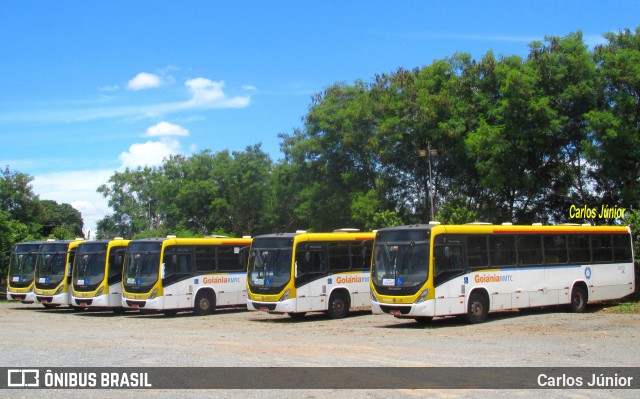 COOTEGO - Cooperativa de Transportes do Estado de Goiás 40133 na cidade de Goiânia, Goiás, Brasil, por Carlos Júnior. ID da foto: 8500795.