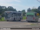 Viação Tamandaré 16L65 na cidade de Almirante Tamandaré, Paraná, Brasil, por Alisson Carvalho . Número da foto: #8499126.