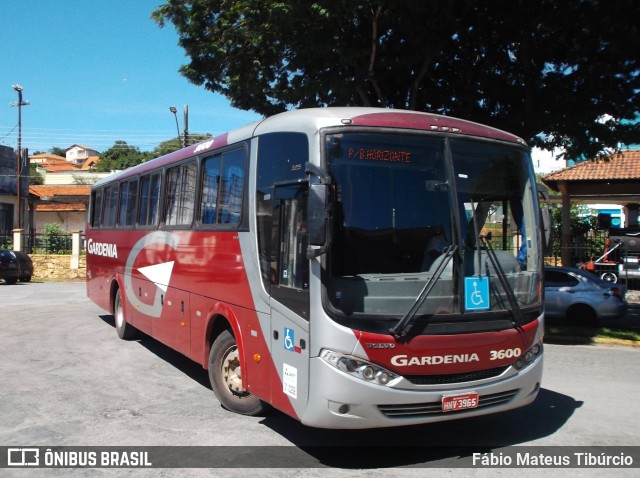 Expresso Gardenia 3600 na cidade de Três Corações, Minas Gerais, Brasil, por Fábio Mateus Tibúrcio. Número da foto: #8420874.