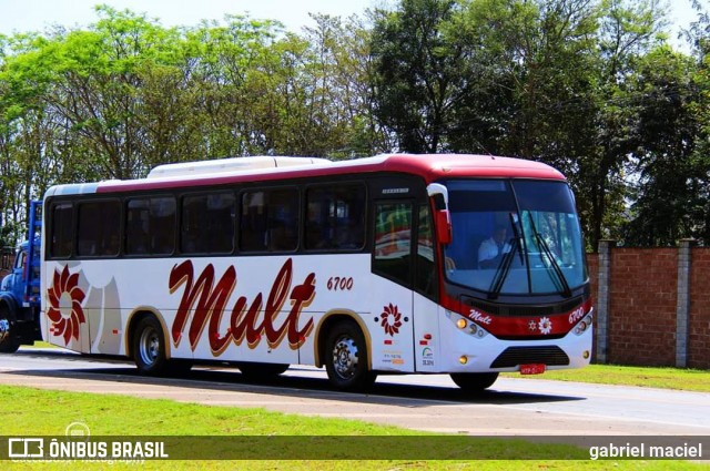 Mult Fretamento e Turismo 6700 na cidade de Holambra, São Paulo, Brasil, por gabriel maciel. ID da foto: 8422904.