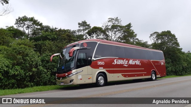 Santa Maria Fretamento e Turismo > Transportes Santa Maria(SP) 350 na cidade de São Bernardo do Campo, São Paulo, Brasil, por Agnaldo Penides. Número da foto: #8422933.