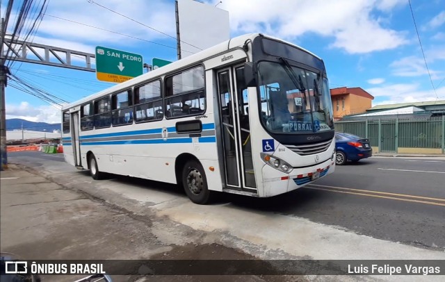 Buses Guadalupe 17 na cidade de Guadalupe, Goicoechea, San José, Costa Rica, por Luis Felipe Vargas. ID da foto: 8502796.