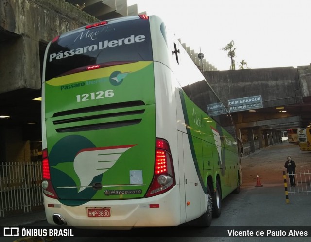 Pássaro Verde 12126 na cidade de Belo Horizonte, Minas Gerais, Brasil, por Vicente de Paulo Alves. ID da foto: 8503832.