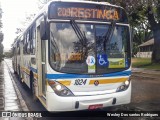 Trevo Transportes Coletivos 1024 na cidade de Porto Alegre, Rio Grande do Sul, Brasil, por Wesley Dos santos Rodrigues. Número da foto: #:id.