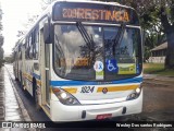 Trevo Transportes Coletivos 1024 na cidade de Porto Alegre, Rio Grande do Sul, Brasil, por Wesley Dos santos Rodrigues. ID da foto: :id.