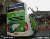Pássaro Verde 12126 na cidade de Belo Horizonte, Minas Gerais, Brasil, por Vicente de Paulo Alves. Número da foto: #8503832.