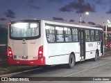 BTM - Bahia Transportes Metropolitanos 262 na cidade de Lauro de Freitas, Bahia, Brasil, por Cecílio Júnior. Número da foto: #8506931.
