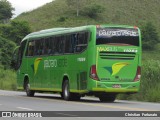 Pássaro Verde 11084 na cidade de Coimbra, Minas Gerais, Brasil, por Christian  Fortunato. ID da foto: :id.