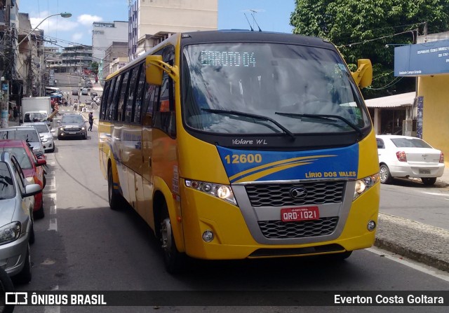 Viação Lírio dos Vales 12600 na cidade de Cariacica, Espírito Santo, Brasil, por Everton Costa Goltara. Número da foto: #8423358.