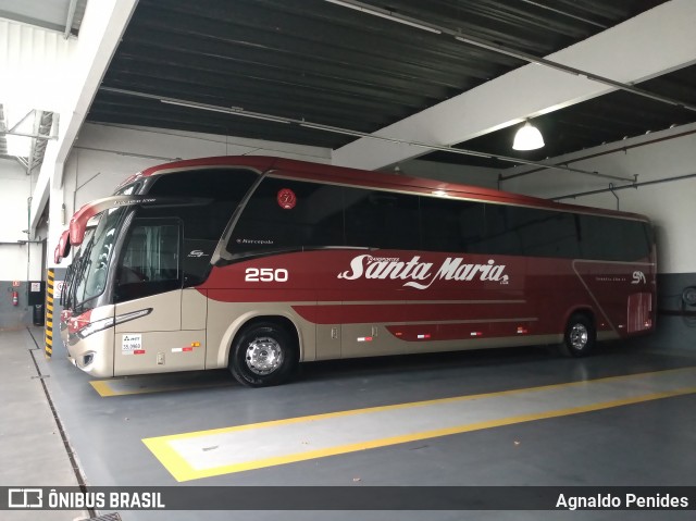 Santa Maria Fretamento e Turismo > Transportes Santa Maria(SP) 250 na cidade de São Bernardo do Campo, São Paulo, Brasil, por Agnaldo Penides. Número da foto: #8426034.