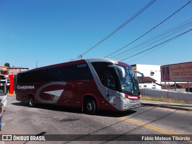 Expresso Gardenia 4230 na cidade de Três Corações, Minas Gerais, Brasil, por Fábio Mateus Tibúrcio. Número da foto: #8427712.