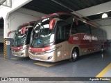 Santa Maria Fretamento e Turismo > Transportes Santa Maria(SP) 250 na cidade de São Bernardo do Campo, São Paulo, Brasil, por Agnaldo Penides. Número da foto: #8426027.