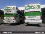 Empresa Gontijo de Transportes 14640 na cidade de Roseira, São Paulo, Brasil, por Feehzynho Pereira. Número da foto: #8430121.