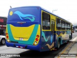 Treguca 08 na cidade de Cartago, Cartago, Costa Rica, por Christopher Gamboa. Número da foto: #8435470.