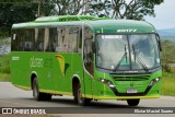 Pássaro Verde 20177 na cidade de Santa Bárbara, Minas Gerais, Brasil, por Eliziar Maciel Soares. ID da foto: :id.