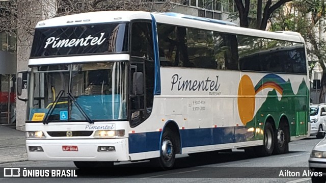 Pimentel Turismo 4500 na cidade de Belo Horizonte, Minas Gerais, Brasil, por Ailton Alves. Número da foto: #7485969.