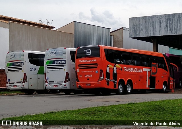 Transbrasiliana Transportes e Turismo 50903 na cidade de Goiânia, Goiás, Brasil, por Vicente de Paulo Alves. Número da foto: #7487016.
