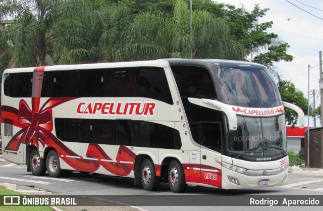 Capellitur 2020 na cidade de São Paulo, São Paulo, Brasil, por Rodrigo  Aparecido. Número da foto: #7513860.