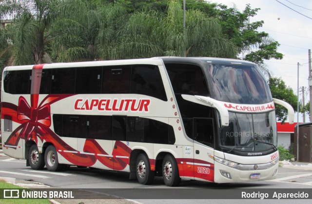 Capellitur 2020 na cidade de São Paulo, São Paulo, Brasil, por Rodrigo  Aparecido. ID da foto: 7513860.