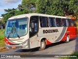 Rouxinol 1710 na cidade de Belo Horizonte, Minas Gerais, Brasil, por Adão Raimundo Marcelino. Número da foto: #7513879.