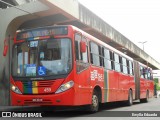 Transportadora Globo 459 na cidade de Recife, Pernambuco, Brasil, por Ewylla Eduarda. Número da foto: #:id.