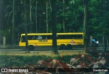 Viação Itapemirim 20013 na cidade de Petrópolis, Rio de Janeiro, Brasil, por Cecilio Cais. Número da foto: #7515985.
