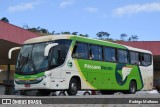 Pássaro Verde 11096 na cidade de João Monlevade, Minas Gerais, Brasil, por Rodrigo Matheus. Número da foto: #:id.