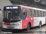 Allibus Transportes 4 5556 na cidade de São Paulo, São Paulo, Brasil, por Rodrigo Moreira Correia. Número da foto: #:id.