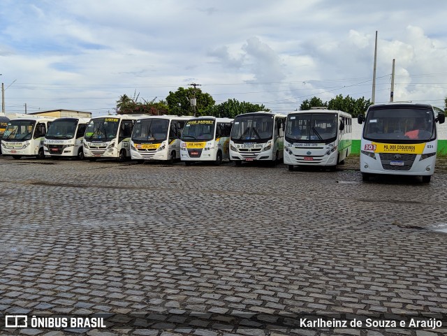 Rede Complementar de Natal 031 na cidade de São Gonçalo do Amarante, Rio Grande do Norte, Brasil, por Karlheinz de Souza e Araújo. Número da foto: #7527126.