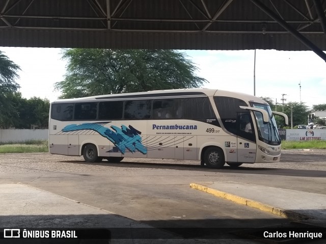 Viação Pernambucana Transporte e Turismo 317 na cidade de Juazeiro, Bahia, Brasil, por Carlos Henrique. Número da foto: #7530864.