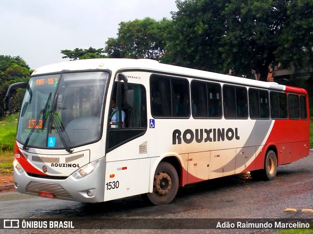 Rouxinol 1530 na cidade de Belo Horizonte, Minas Gerais, Brasil, por Adão Raimundo Marcelino. ID da foto: 7531774.