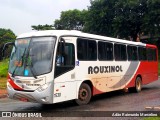 Rouxinol 1530 na cidade de Belo Horizonte, Minas Gerais, Brasil, por Adão Raimundo Marcelino. Número da foto: #7531774.