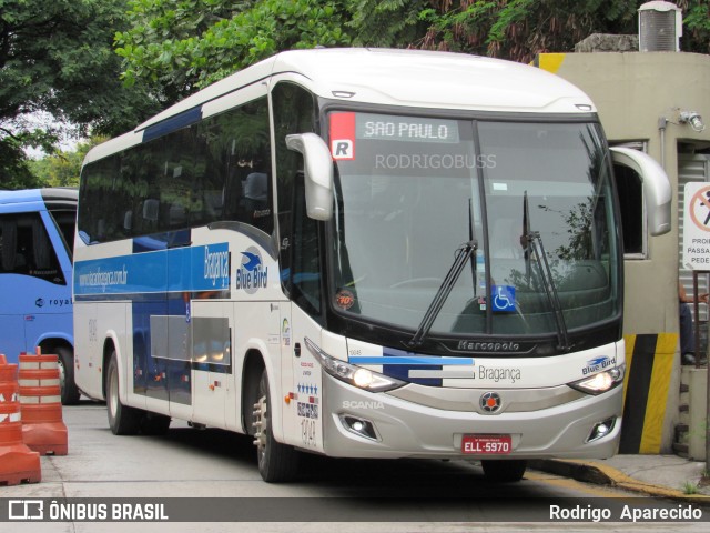 Auto Viação Bragança 19048 na cidade de São Paulo, São Paulo, Brasil, por Rodrigo  Aparecido. Número da foto: #7534177.