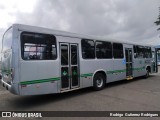 TCCC - Transporte Coletivo Cidade Canção 6144 na cidade de Maringá, Paraná, Brasil, por Rodrigo  Gutierrez Rodrigues. Número da foto: #:id.