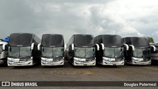 Empresa de Ônibus Nossa Senhora da Penha 60005 na cidade de Caxias do Sul, Rio Grande do Sul, Brasil, por Douglas Paternezi. Número da foto: #7537326.