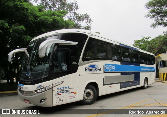 Auto Viação Bragança 19047 na cidade de São Paulo, São Paulo, Brasil, por Rodrigo  Aparecido. Número da foto: #7537548.